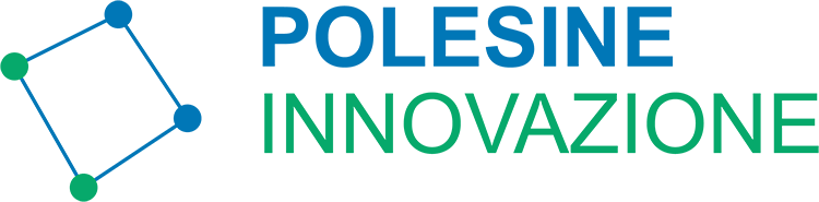 Polesine innovazione
