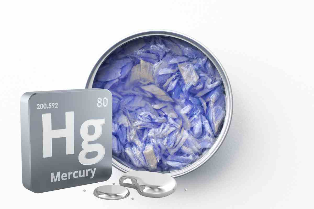 una scatoletta di tonno tendente al blu e il simbolo del mercurio