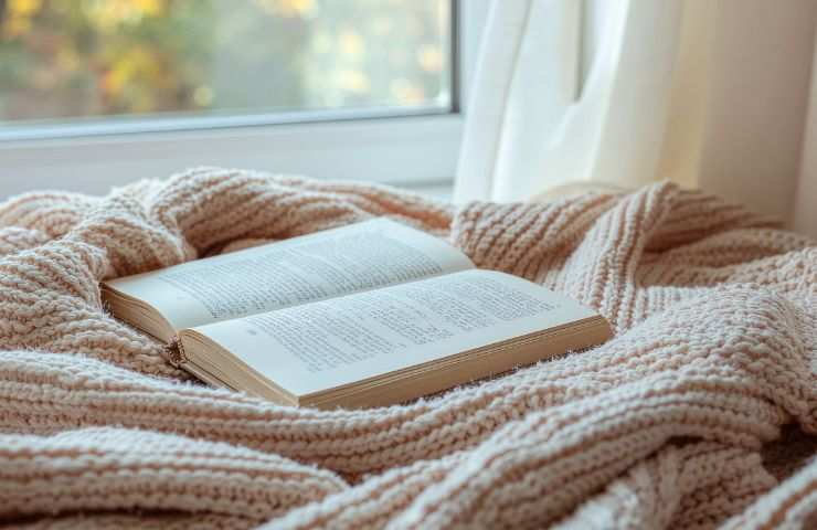 letto sotto la finestra con coperta e libro