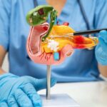 medico che indica pancreas